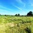  Land for sale in Puerto Princesa City, Mimaropa, Puerto Princesa City, Palawan, Mimaropa