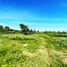  Land for sale in Puerto Princesa City, Mimaropa, Puerto Princesa City, Palawan, Mimaropa