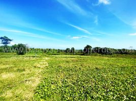  Land for sale in Puerto Princesa City, Mimaropa, Puerto Princesa City, Palawan, Mimaropa