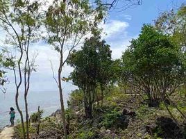  Land for sale in Alcoy, Cebu, Alcoy