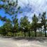  Terreno (Parcela) en venta en Cebu City, Central Visayas, Cebu City
