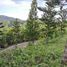  Terreno (Parcela) en venta en Cebu City, Central Visayas, Cebu City