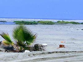  Terrain for sale in Chilca, Cañete, Chilca