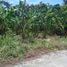  Land for sale in Cavite, Calabarzon, Alfonso, Cavite