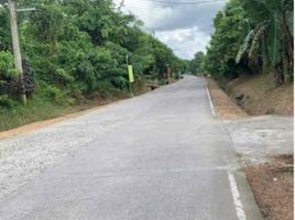  Land for sale in Cavite, Calabarzon, Alfonso, Cavite