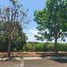  Land for sale in Muntinlupa City, Metro Manila, Muntinlupa City