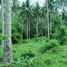  Terrain for sale in Albay, Bicol, Legazpi City, Albay