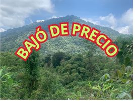  Land for sale in Nanegal, Quito, Nanegal