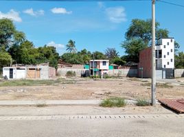  Terreno (Parcela) en venta en Piura, Piura, Castilla, Piura