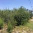  Land for sale in Garcia, Nuevo Leon, Garcia