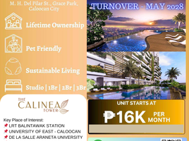 Studio Condominium for sale in Caloocan City, Northern District, Caloocan City