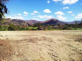  Land for sale in Loja, Malacatos Valladolid, Loja, Loja