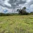  Land for sale in Loja, Malacatos Valladolid, Loja, Loja