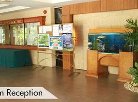  Terreno (Parcela) en venta en Cebu City, Central Visayas, Cebu City, Cebu, Central Visayas, Filipinas