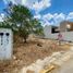  Land for sale in Merida, Yucatan, Merida