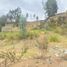  Land for sale in Canar, Javier Loyola Chuquipata, Azogues, Canar