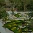 2 Bedroom Condo for sale in Cozumel, Quintana Roo, Cozumel