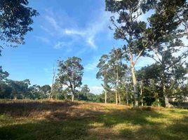  Terrain for sale in Johor, Kota Tinggi, Kota Tinggi, Johor