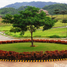 Land for sale in Cebu Central Visayas, Cebu City, Cebu, Central Visayas
