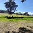  Terrain for sale in Jalisco, Amacueca, Jalisco