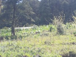  Land for sale in Mineral Del Chico, Hidalgo, Mineral Del Chico