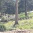  Land for sale in Mineral Del Chico, Hidalgo, Mineral Del Chico