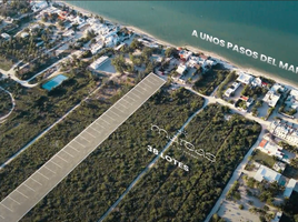 Terrain à vendre à Chicxulub Pueblo, Yucatan, Chicxulub Pueblo