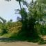  Tanah for sale in Lowok Waru, East Jawa, Lowok Waru, Malang Regency