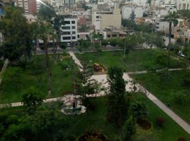 Appartement 3 chambre à vendre à Ate, Lima, Ate, Lima, Lima