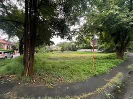  Land for sale at Ayala Alabang VIllage, Muntinlupa City