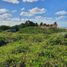  Land for sale in Dzidzantun, Yucatan, Dzidzantun