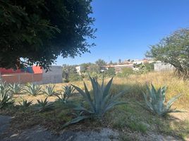  Grundstück zu verkaufen in Allende, Guanajuato, Allende, Guanajuato