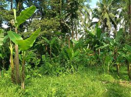  Land for sale in Payangan, Gianyar, Payangan