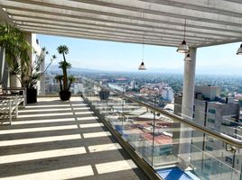 2 Schlafzimmer Appartement zu vermieten in Alvaro Obregon, Mexico City, Alvaro Obregon