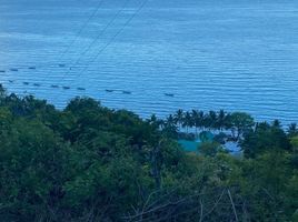  Land for sale in Oslob, Cebu, Oslob