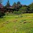  Land for sale in Girardota, Antioquia, Girardota