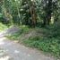  Land for sale in Depok, Sleman, Depok