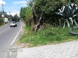  Land for sale in Tumbaco, Pichincha, Tumbaco