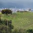  Land for sale in La Casa del Libro Total, Bucaramanga, Bucaramanga