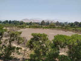  Land for sale in Pachacamac, Lima, Pachacamac