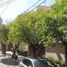 4 Schlafzimmer Haus zu verkaufen in Naucalpan De Juarez, Mexico, Naucalpan De Juarez, Mexico
