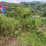  Land for sale in Cordillera, Baguio City, Benguet, Cordillera