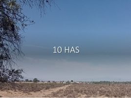  토지을(를) Irapuato, 구아나후토에서 판매합니다., Irapuato