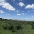  Land for sale in Irapuato, Guanajuato, Irapuato