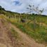 House for sale in Sotaquira, Boyaca, Sotaquira