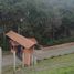  Land for sale in Cauca, Sotara, Cauca