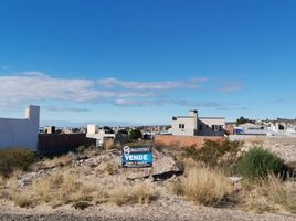  Land for sale in Biedma Chubut, Biedma
