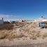  Land for sale in Biedma Chubut, Biedma