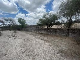  Land for sale in Dolores Hidalgo, Guanajuato, Dolores Hidalgo