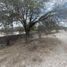  Land for sale in Dolores Hidalgo, Guanajuato, Dolores Hidalgo